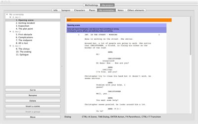 Film Writer — screenplay editor